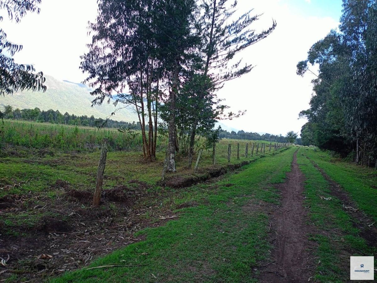 land for sale in Nyandarua, Kenya - Ksh 1.3M - Image 1